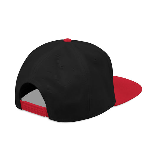 Common Sense Ain’t So Common Embroidered Snapback Hat | Sick Submissions